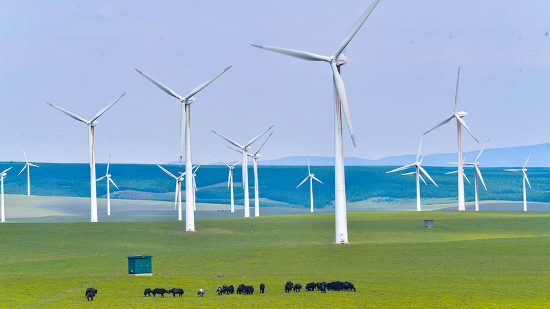 Green_Horizons__75_Years_of_Sino_Danish_Renewable_Energy_Cooperation