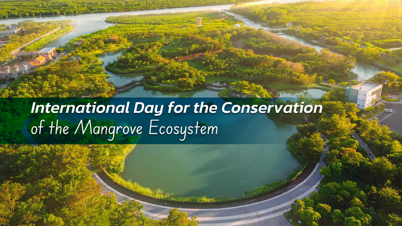 Guarding Mangroves: Building a Blue-Carbon Shield Guarding_Mangroves__Building_a_Blue_Carbon_Shield
