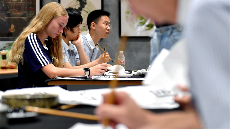 Harmony_in_Diversity__How_Digital_Dialogue_Can_Bridge_Global_Divides