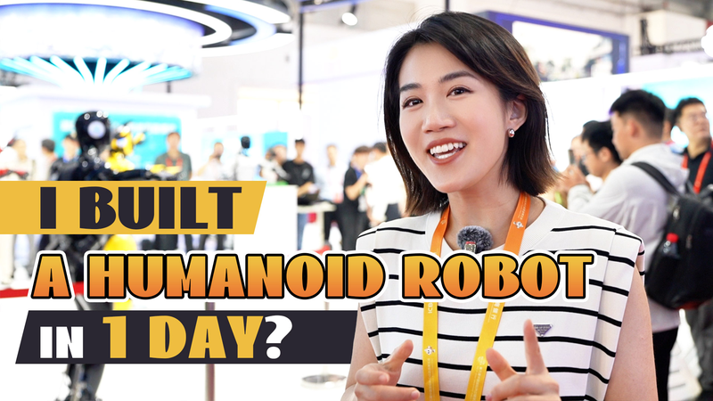 Humanoid_Robot_in_One_Day_at_a_Chinese_Mainland_Supply_Chain_Expo video poster