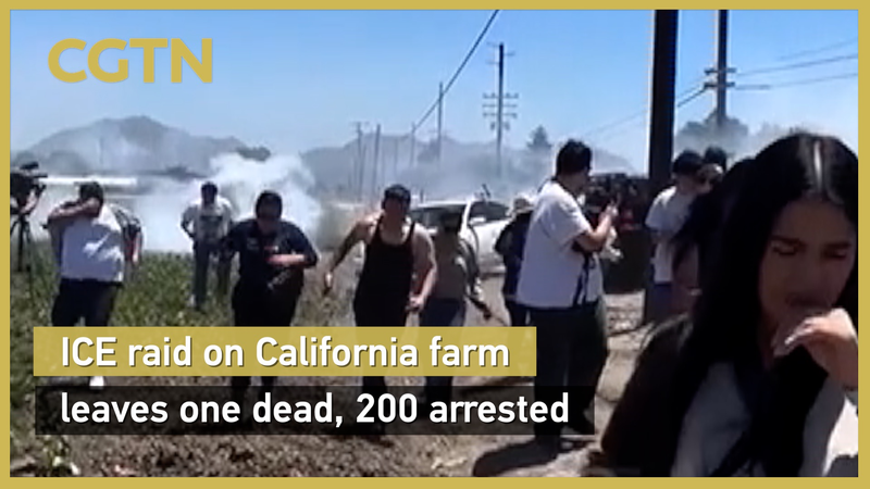 ICE Raid on California Cannabis Farm Sparks Chaos and 200 Arrests ICE_Raid_on_California_Cannabis_Farm_Sparks_Chaos_and_200_Arrests video poster