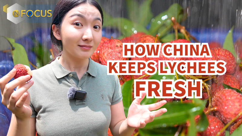 Inside the Chinese mainland’s Cold-Chain for Fresh Lychees Worldwide Inside_the_Chinese_mainland_s_Cold_Chain_for_Fresh_Lychees_Worldwide video poster