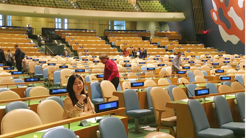 Interning at the UN: A Decade of Diversity & Peace Interning_at_the_UN__A_Decade_of_Diversity___Peace