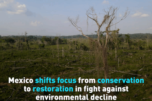 Mexico Embraces Ecosystem Restoration in New Climate Strategy Mexico_Embraces_Ecosystem_Restoration_in_New_Climate_Strategy video poster