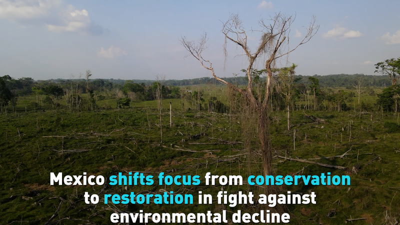 Mexico_Embraces_Ecosystem_Restoration_in_New_Climate_Strategy video poster