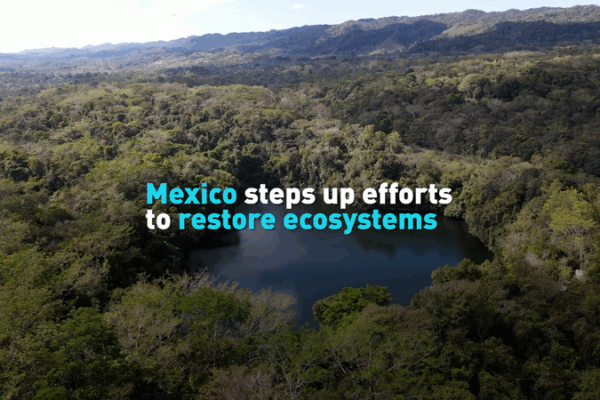 Mexico Summit Sparks Bold Push for Ecosystem Restoration Mexico_Summit_Sparks_Bold_Push_for_Ecosystem_Restoration video poster