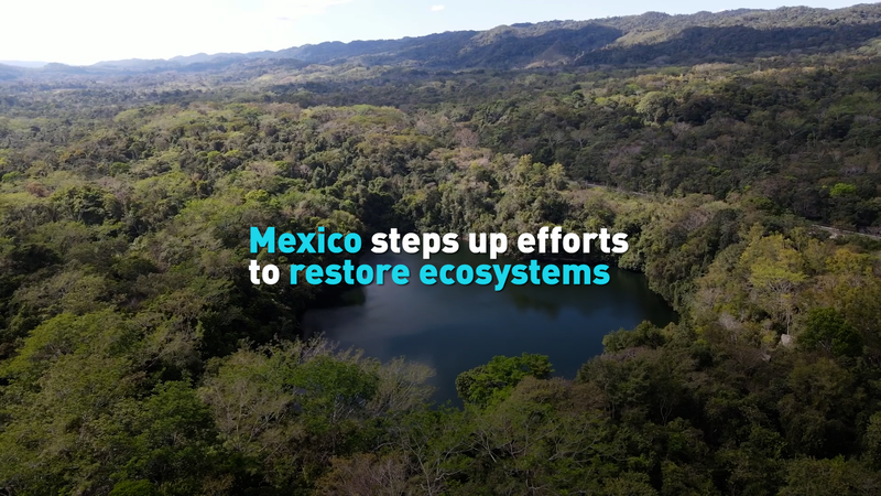 Mexico_Summit_Sparks_Bold_Push_for_Ecosystem_Restoration video poster