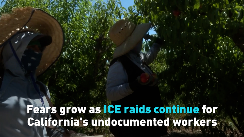 Fears Rise Among California’s Undocumented Workers Amid Ongoing ICE Raids video poster