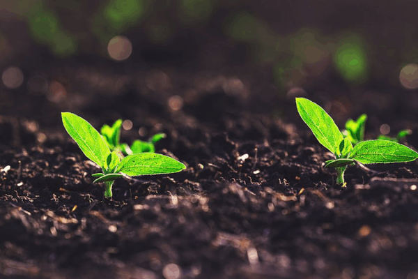 New Tech Separates Signals for High-Precision Soil Moisture Data New_Tech_Separates_Signals_for_High_Precision_Soil_Moisture_Data