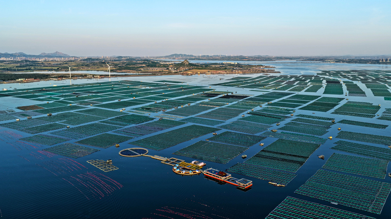 Norway Seeks Green Cooperation with the Chinese Mainland for Climate and Economy Norway_Seeks_Green_Cooperation_with_the_Chinese_Mainland_for_Climate_and_Economy