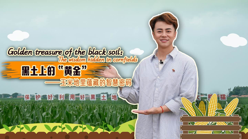 QLVMJUVCVTBEVEUGQIRL - My Global News: Voices of a New Era Data-Driven Revolution in Jilin’s Black Soil Cornfields video poster