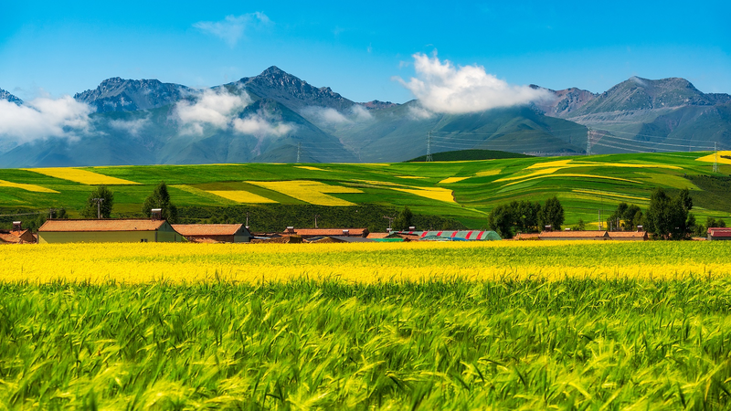 Satellite Dataset Powers Eco-Protection on Qinghai-Xizang Plateau Satellite_Dataset_Powers_Eco_Protection_on_Qinghai_Xizang_Plateau