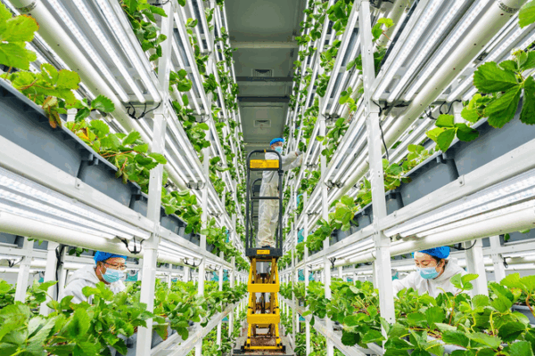 Seeds of Change: China’s Agri-Tech Driving Global Growth Seeds_of_Change__China_s_Agri_Tech_Driving_Global_Growth