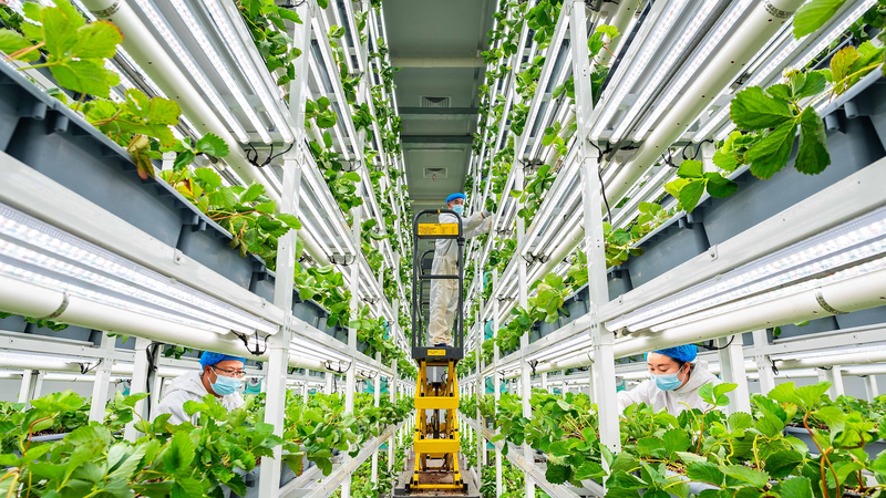 Seeds_of_Change__China_s_Agri_Tech_Driving_Global_Growth - My Global News: Voices of a New Era Seeds_of_Change__China_s_Agri_Tech_Driving_Global_Growth