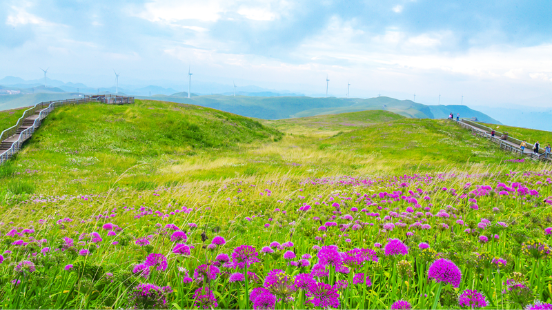 Sino-Swiss Ecotourism Ties Deepen After 75 Years Sino_Swiss_Ecotourism_Ties_Deepen_After_75_Years