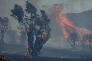 Southern_Europe_Faces_Intense_Wildfires_Amid_Heatwaves