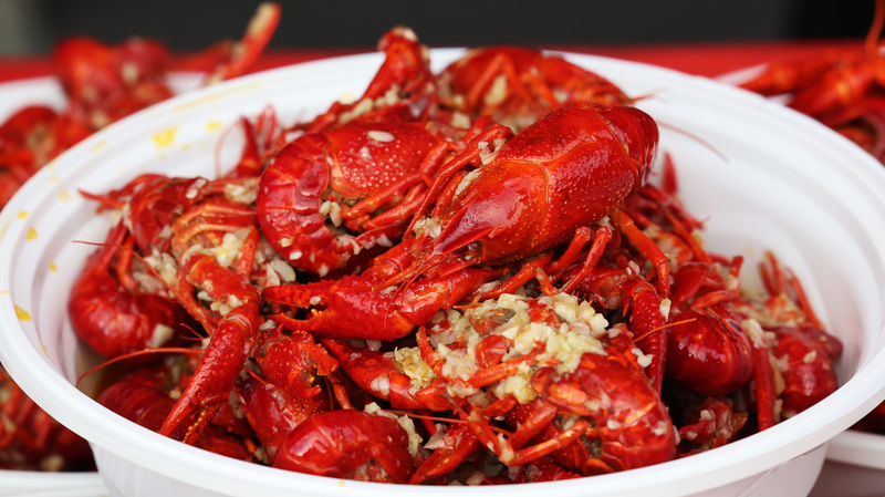 Spicy Crayfish Festival in Wuhu Fuels Night Economy and Fun Spicy_Crayfish_Festival_in_Wuhu_Fuels_Night_Economy_and_Fun