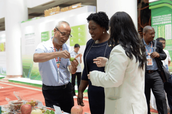 Spring City Embraces Smart Farming for Zero Hunger Spring_City_Embraces_Smart_Farming_for_Zero_Hunger