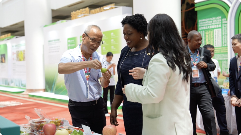 Spring_City_Embraces_Smart_Farming_for_Zero_Hunger - My Global News: Voices of a New Era Spring_City_Embraces_Smart_Farming_for_Zero_Hunger