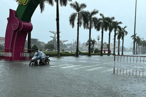 Storm Wipha kills 3, displaces 100,000 in Vietnam Storm_Wipha_kills_3__displaces_100_000_in_Vietnam