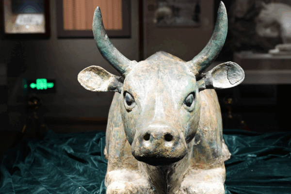 Summer Holiday Surge: Ningxia Museum Draws Crowds After UNESCO Honor Summer_Holiday_Surge__Ningxia_Museum_Draws_Crowds_After_UNESCO_Honor