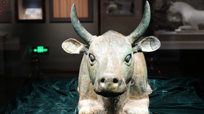 Summer_Holiday_Surge__Ningxia_Museum_Draws_Crowds_After_UNESCO_Honor