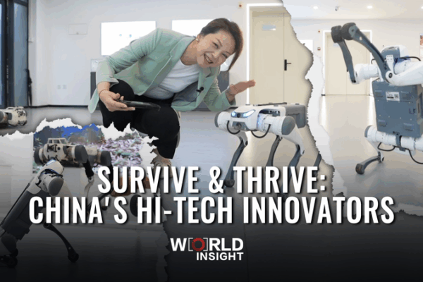 Survive & Thrive: Hi-Tech Innovators in the Chinese Mainland Survive___Thrive__Hi_Tech_Innovators_in_the_Chinese_Mainland video poster