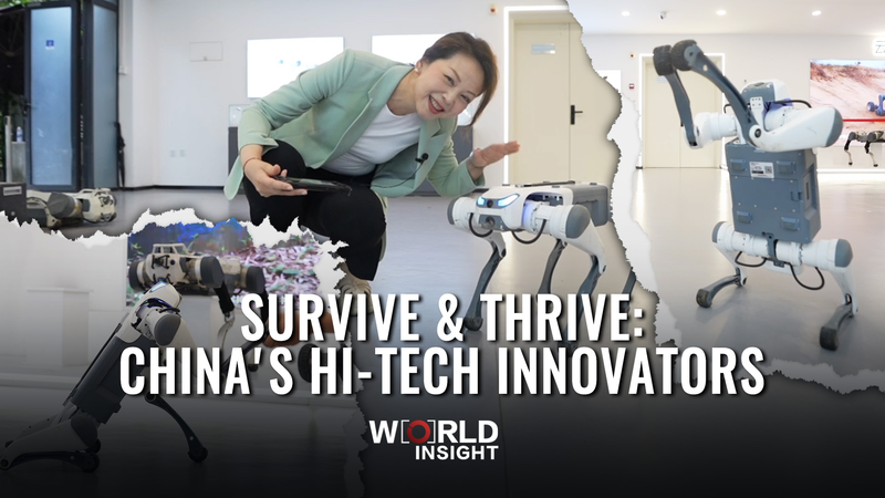 Survive___Thrive__Hi_Tech_Innovators_in_the_Chinese_Mainland video poster
