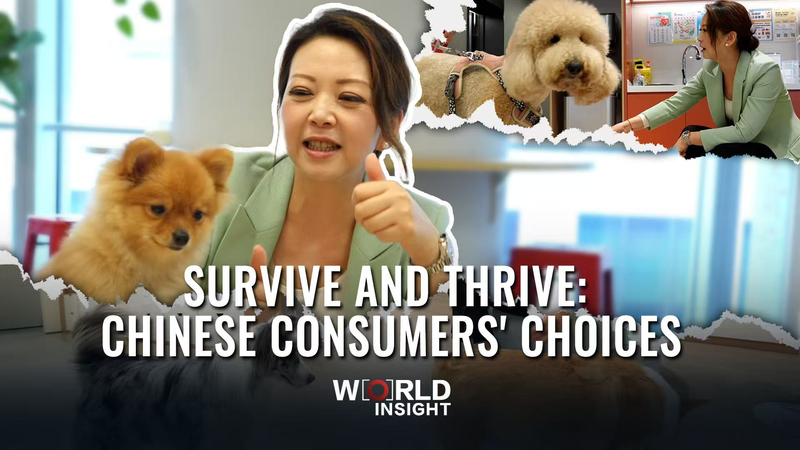 Survive_and_Thrive__Chinese_Mainland_Consumers_Drive_New_E_Commerce_Trends video poster