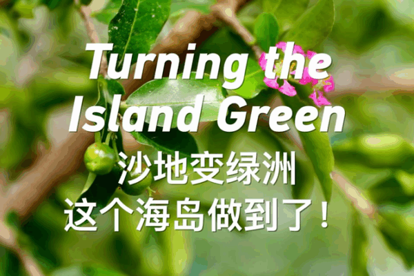 Yongxing Island’s Green Revolution in the South China Sea Yongxing Island’s Green Revolution in the South China Sea video poster