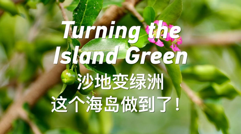 TOXUL7MTZKTF153NDU6Q - My Global News: Voices of a New Era Yongxing Island’s Green Revolution in the South China Sea video poster