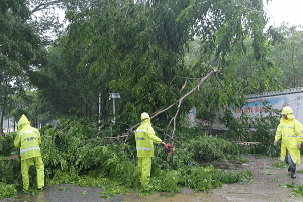 Typhoon Wipha Heads for South China Coast as Sixth Storm of the Year Typhoon_Wipha_Heads_for_South_China_Coast_as_Sixth_Storm_of_the_Year video poster