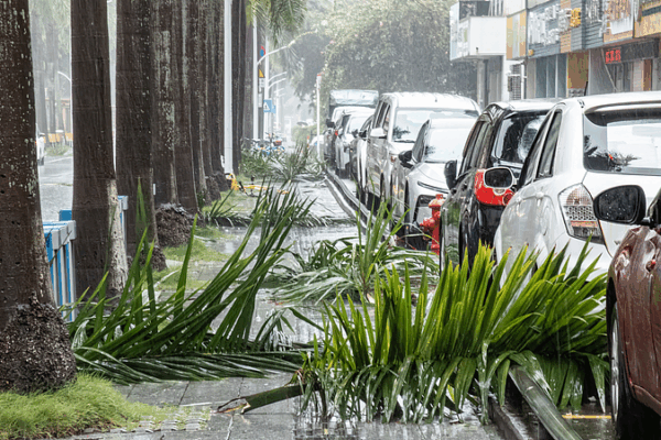 Typhoon_Wipha_Slams_Guangdong__Evacuations_and_Shutdowns_Underway video poster