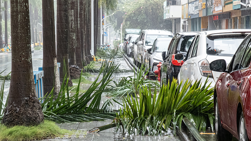 Typhoon_Wipha_Slams_Guangdong__Evacuations_and_Shutdowns_Underway video poster