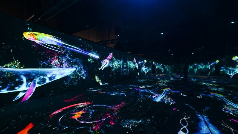 WGTPGJKQA3LJKGO8A0Y3 - My Global News: Voices of a New Era Meet the Ocean: Beijing’s New Exhibition Blends Art & Ecology