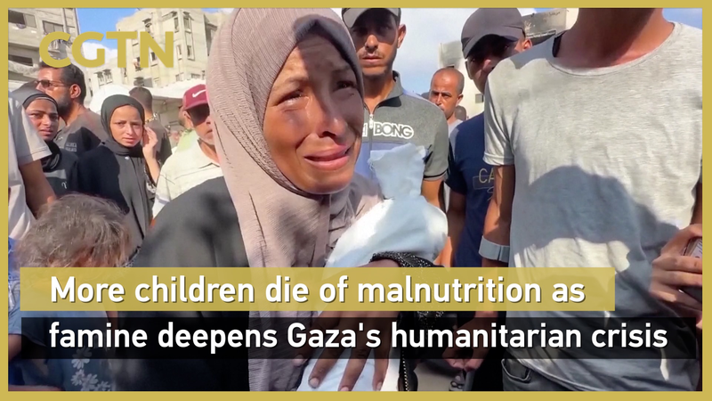 WHO_Warns_of_Man_Made_Mass_Starvation_in_Gaza_poster - My Global News: Voices of a New Era WHO_Warns_of_Man_Made_Mass_Starvation_in_Gaza video poster