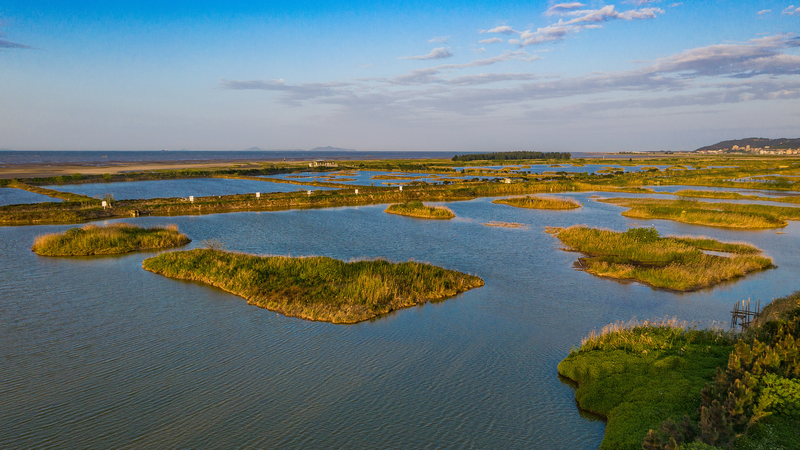 Wetland Monitoring Revives Minjiang Estuary Stopover Wetland_Monitoring_Revives_Minjiang_Estuary_Stopover