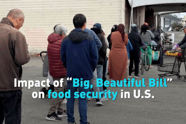 Will the Big, Beautiful Bill Deepen US Food Insecurity? Will_the_Big__Beautiful_Bill_Deepen_US_Food_Insecurity_ video poster