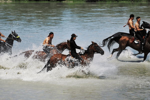 Xinjiang Ili Heavenly Horses Festival Kicks Off 2025 Season Xinjiang_Ili_Heavenly_Horses_Festival_Kicks_Off_2025_Season