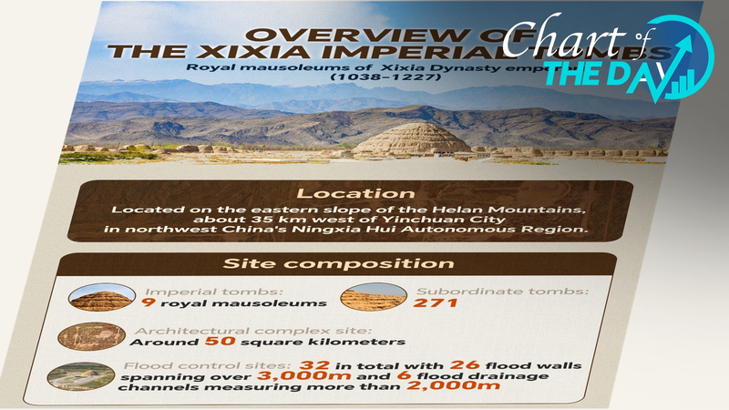 Xixia_Imperial_Tombs_Earn_UNESCO_World_Heritage_Status