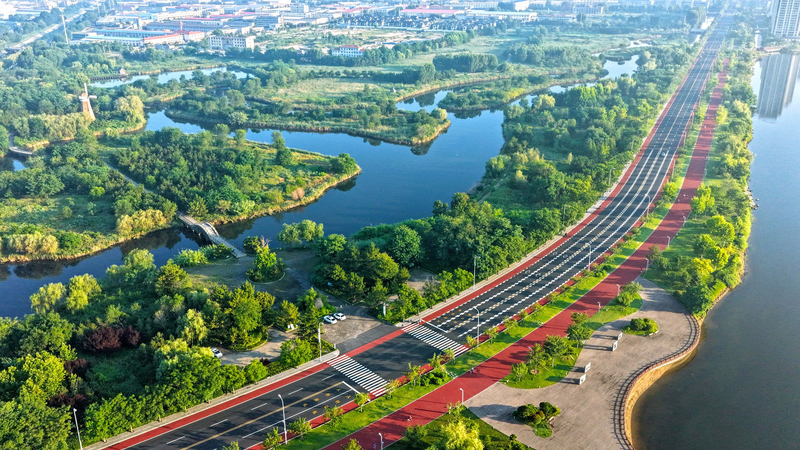 China’s Leadership in Global Wetland Preservation