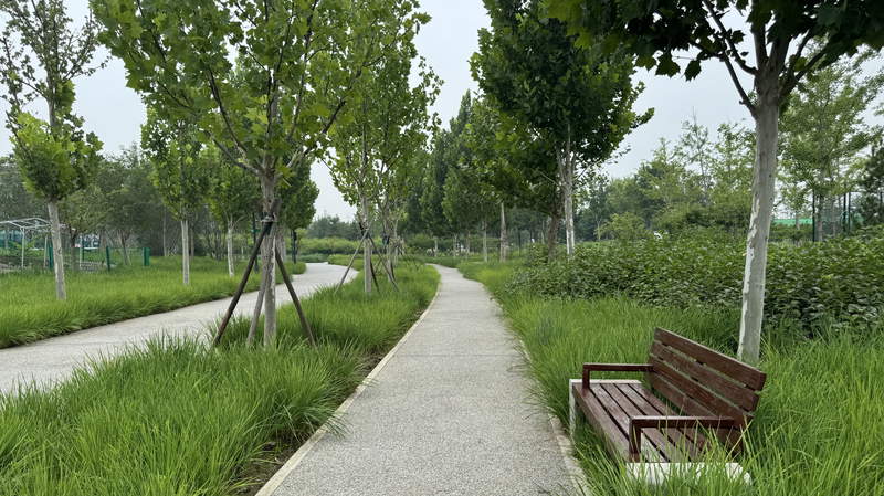 Beijing’s Central Green Forest Park: Industrial Relics Reborn as a Green Oasis Beijing’s Central Green Forest Park: Industrial Relics Reborn as a Green Oasis video poster