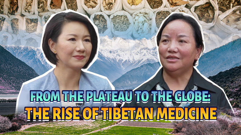 From Plateau to Globe: Tibetan Medicineās Global Rise From Plateau to Globe: Tibetan Medicineās Global Rise video poster