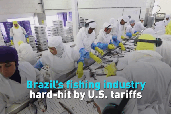 U.S. 50% Tariffs Deal a Blow to Brazilâs Fishing Industry U.S. 50% Tariffs Deal a Blow to Brazilâs Fishing Industry video poster