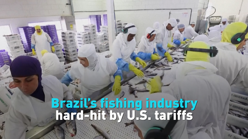 U.S. 50% Tariffs Deal a Blow to Brazil’s Fishing Industry video poster