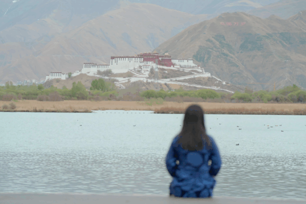 Dechen Yudron’s Homecoming Ignites Education Equality in Xizang Dechen Yudron’s Homecoming Ignites Education Equality in Xizang video poster