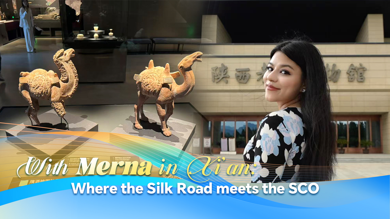 Xi’an’s Silk Road Legacy: Modern SCO Partnerships Revive Ancient Ties Xi’an’s Silk Road Legacy: Modern SCO Partnerships Revive Ancient Ties video poster