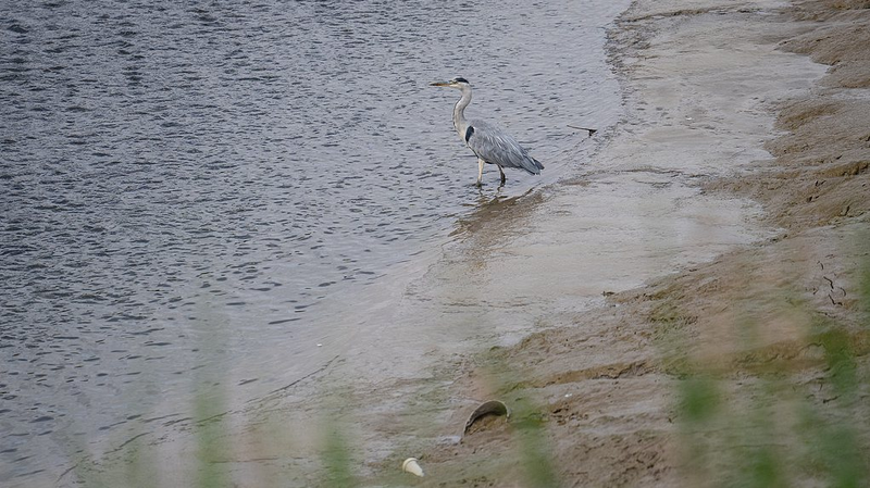 ABWI5J8UQ9H4W3E67MQI - My Global News: Voices of a New Era Sunlight-Powered Innovation Converts PFAS ‘Forever Chemicals’ into Harmless Fluoride