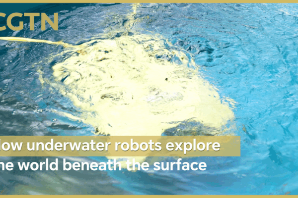 AI-Powered Underwater Robots Dive Deep in Greater Bay Area Tests AI_Powered_Underwater_Robots_Dive_Deep_in_Greater_Bay_Area_Tests video poster