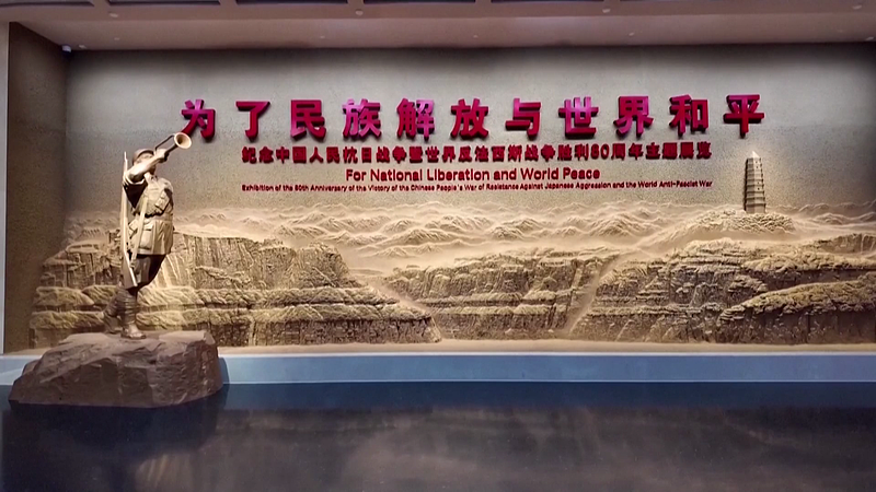 China’s 14-Year Stand: Eastern Front’s Role in WWII Victory